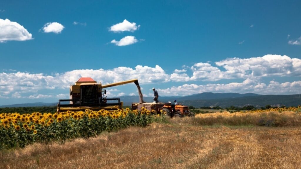 Arazi vergisi ne demek?