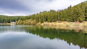 Cerattepe’deki altın madeninin faaliyetleri durduruldu