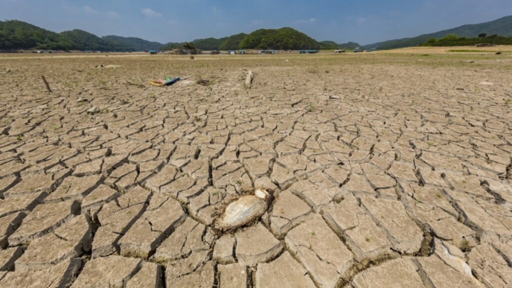 Çevresel adalet nedir?
