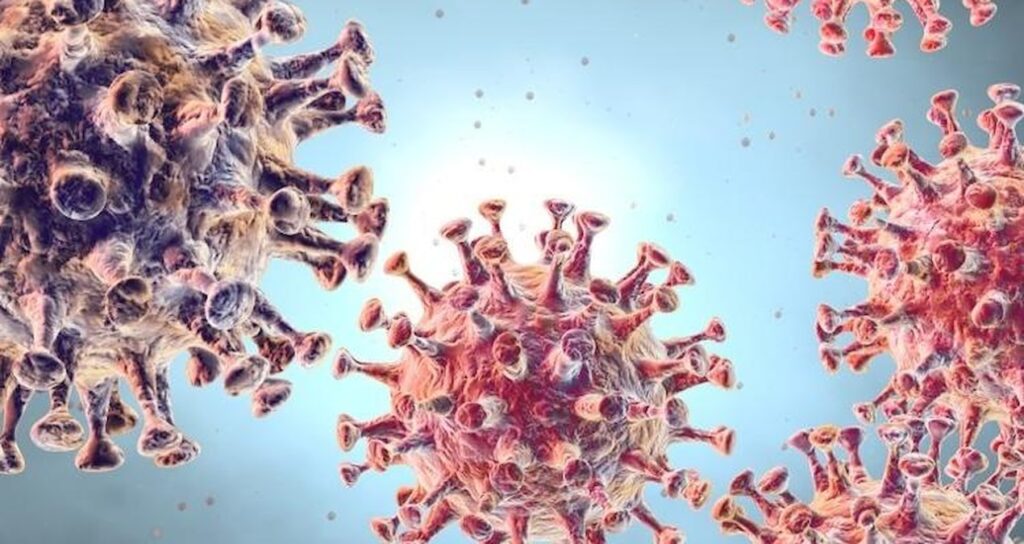 Çiçek aşısı m çiçeğinden korur mu?