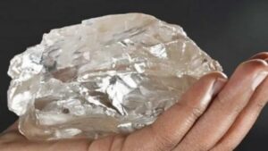 Dünyanın en büyük ikinci elması bulundu