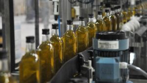 İhracat yasağı kalkmazsa zeytin bu yıl dalında kalır