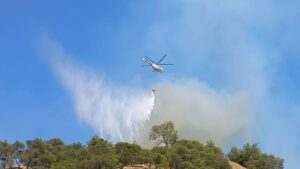 İki gündür mücadele ediliyordu: Kontrol altına alındı