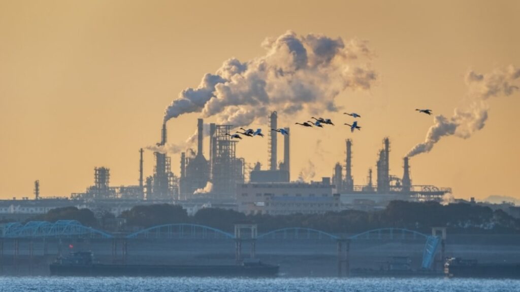 Karbon ayak izi nedir?