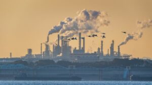 Karbon ayak izi nedir?