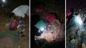 Katliama yine benzer savunma! Niğde’den sonra Altındağ’dan da ‘hayvan mezarlığı’ açıklaması