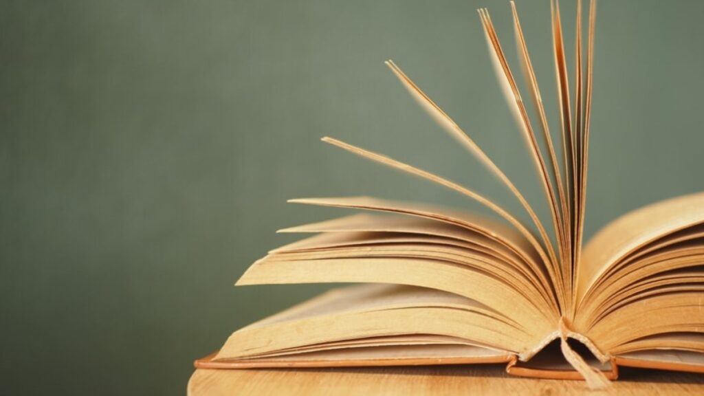 Konsensüs ne demek?