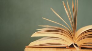 Konsensüs ne demek?