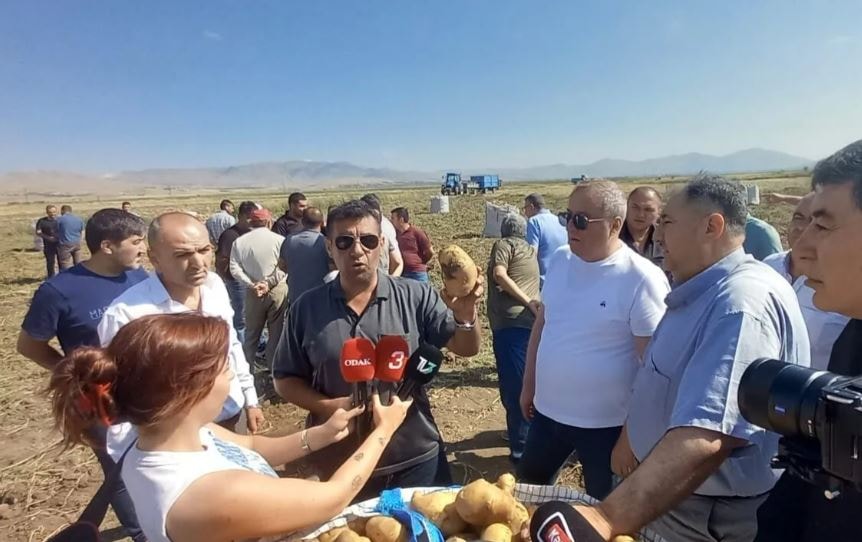 Patatesi tarlada çürümeye terk edilen üreticiden isyan: Bizi diri diri gömüyorlar