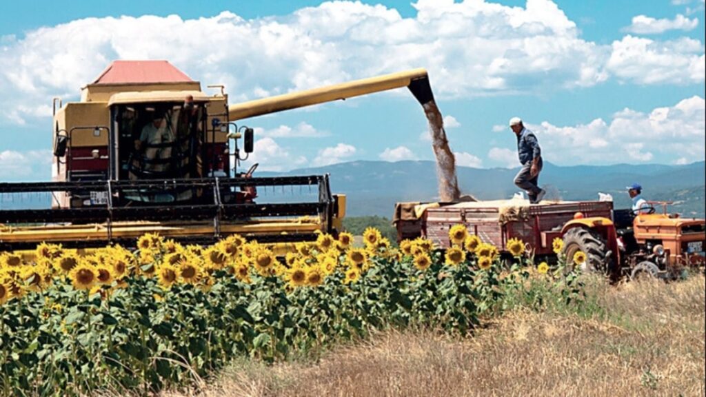 Rus çiftçiye ödenen parayı Türk çiftçiden esirgemeyin