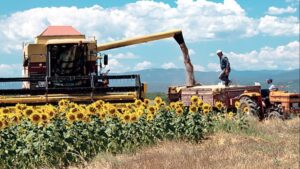 Rus çiftçiye ödenen parayı Türk çiftçiden esirgemeyin