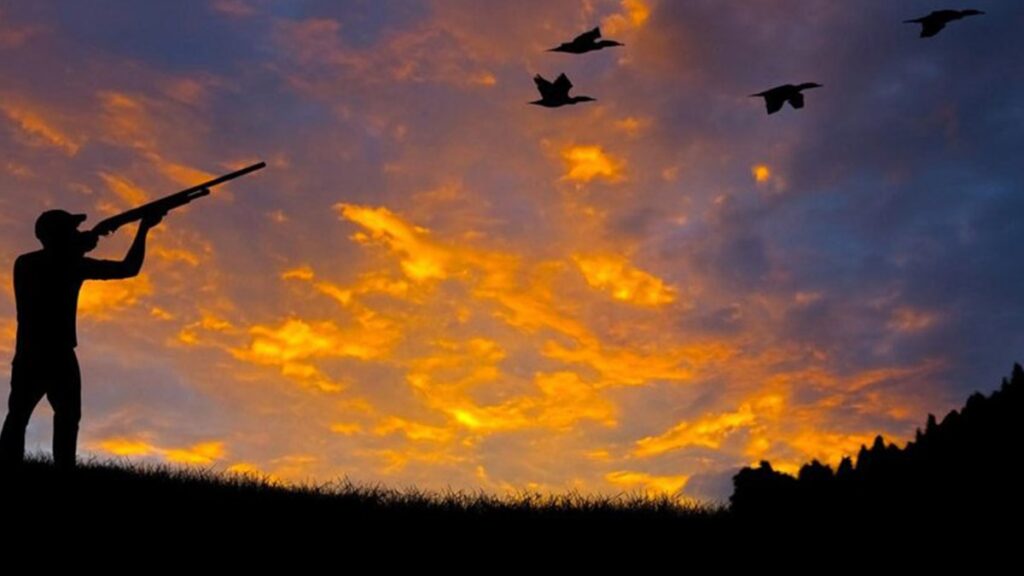 ‘Av turizmi adıyla yine katliam peşindeler’