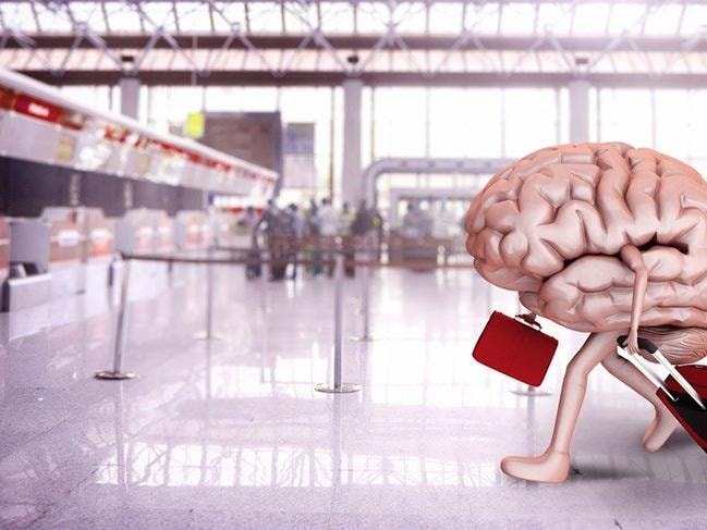 Beyin göçü yapan üniversite mezunlarının oranı belli oldu