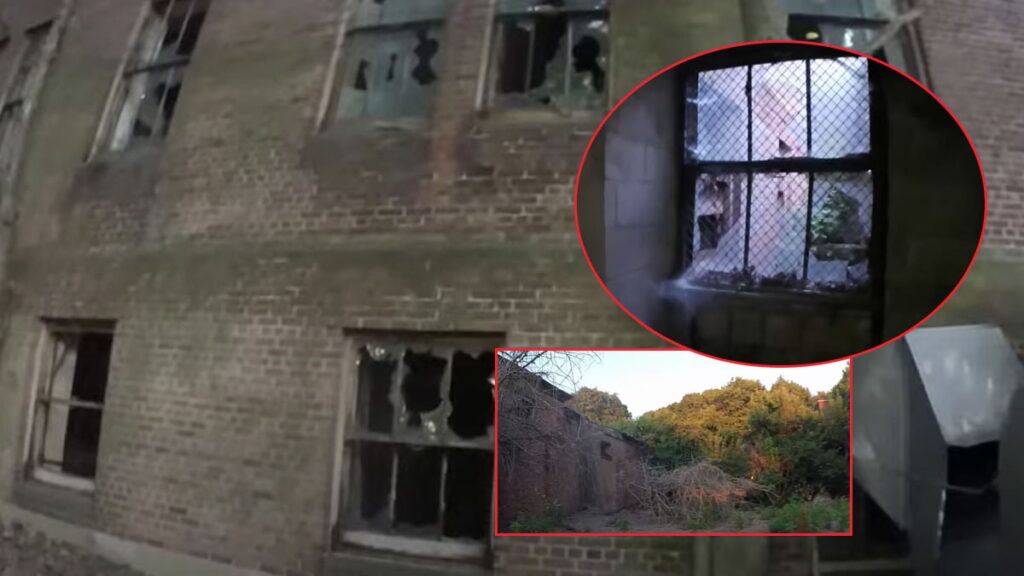 Dünyanın en ünlü şehrine kıyısı var ama, 74 yıldır kimse gitmiyor… Adanın en ünlü sakini Mary Mallon’du!