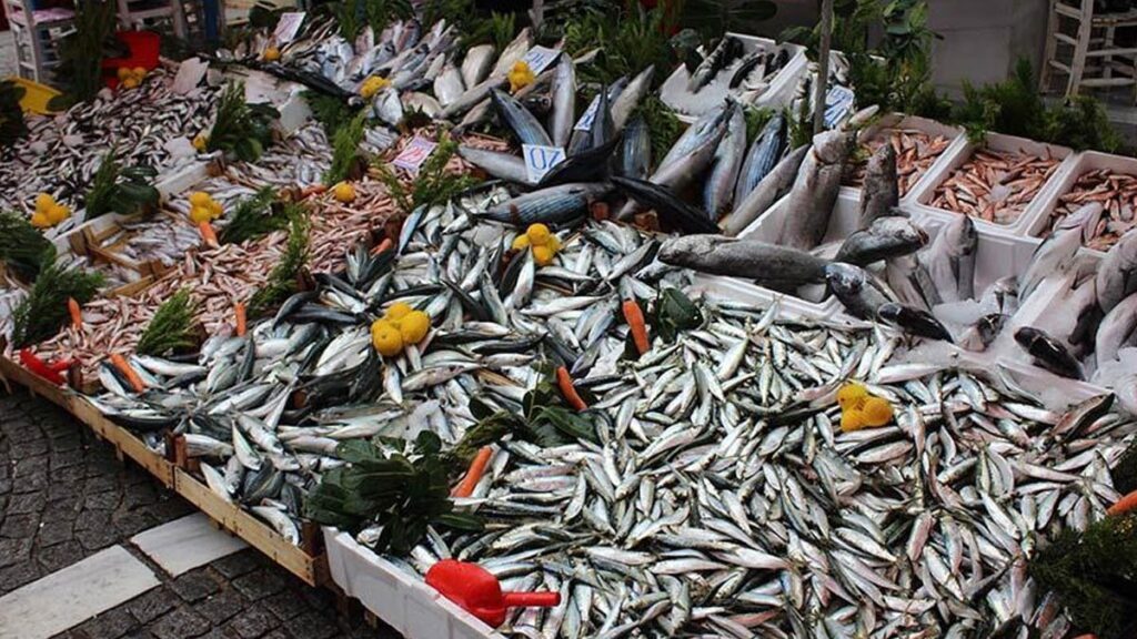 İnsanlar için en tehlikeli balıklar: Ve biz bunu çocuklara bile yediriyoruz!