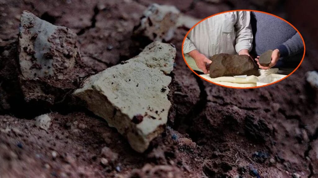 Sıra dışı bir keşif: Altın bulduğunu sandı ama çok daha değerli çıktı