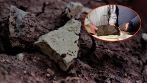 Sıra dışı bir keşif: Altın bulduğunu sandı ama çok daha değerli çıktı