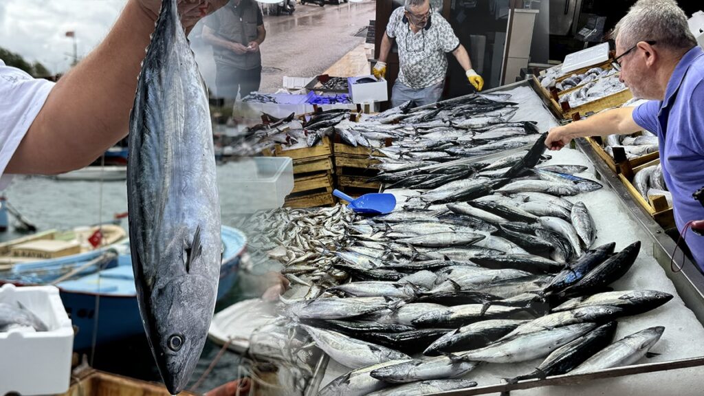 Tezgahların yıldızı olmuştu… Palamut kaçtı fiyatlar arttı, gözler hamside