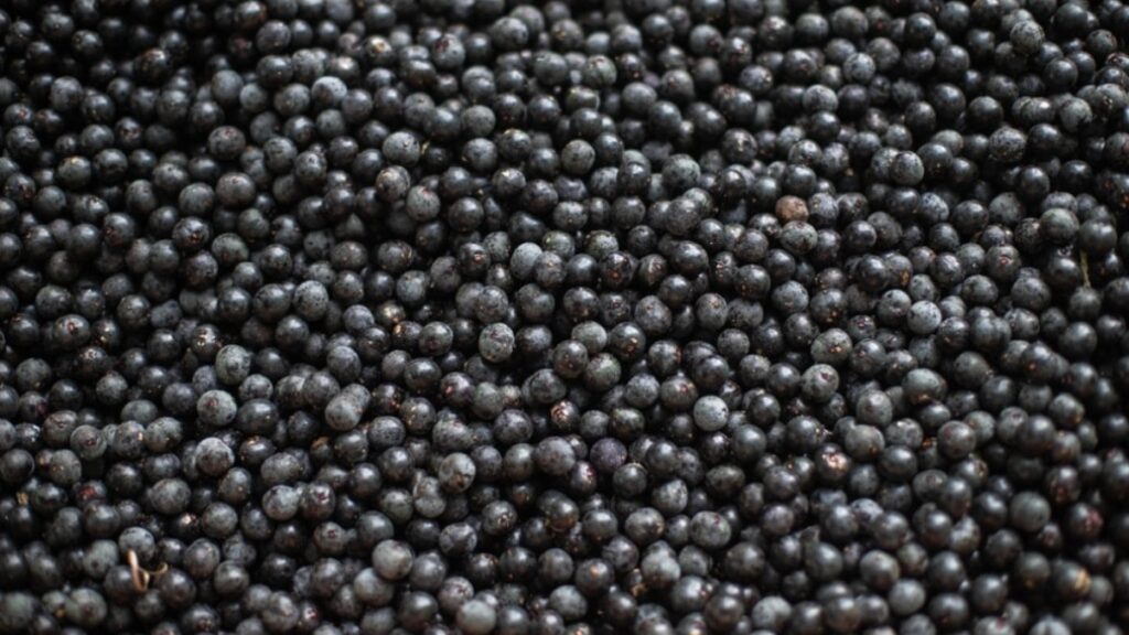 Bunu yiyen doktor yüzü görmüyor! Kanserli hücreleri yüzde 86 oranında öldürüyor