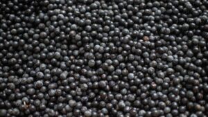 Bunu yiyen doktor yüzü görmüyor! Kanserli hücreleri yüzde 86 oranında öldürüyor