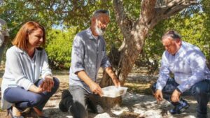 Çeşme’den sakız damlıyor