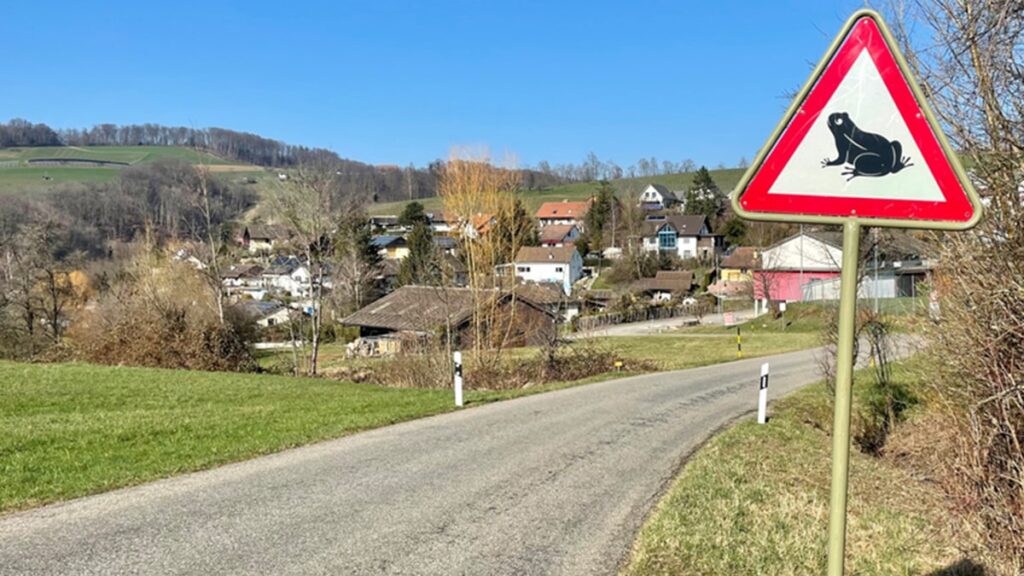 Gören bir daha bakıyor! Anlamı dikkat çeken trafik levhası