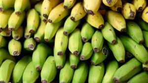 Kimse yüzüne bakmıyordu! Sarı muzdan daha etkiliymiş…