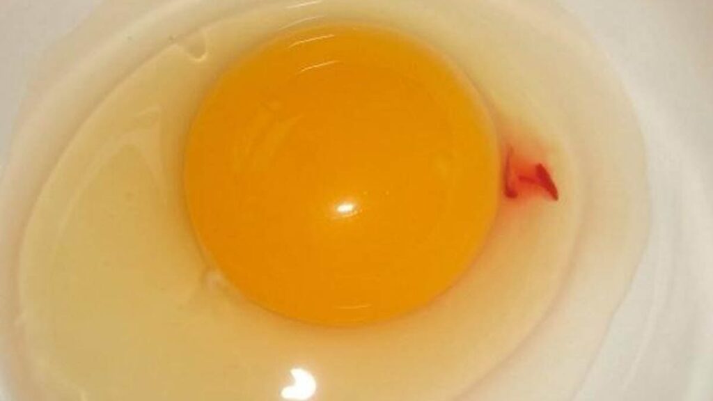 Sarısında kırmızı leke olan yumurta yenir mi? Doğmamış civciv yumurtası olduğu düşünülüyordu! İşte cevabı