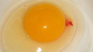 Sarısında kırmızı leke olan yumurta yenir mi? Doğmamış civciv yumurtası olduğu düşünülüyordu! İşte cevabı