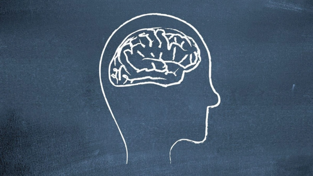 Türkiye’nin en zeki illeri belli oldu: İşte şehir şehir zeka sıralaması