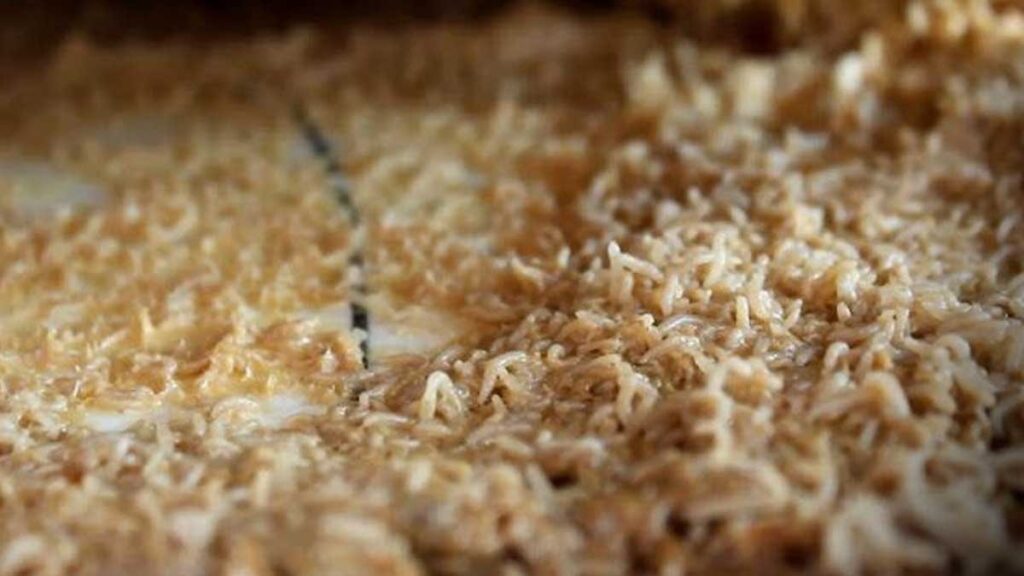 Yemek cesaret istiyor, sadece karaborsada bulunuyor: Dünyanın en tehlikeli peyniri!