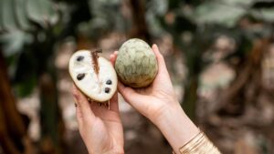 Antioksidanlarla yüklü az bilinen meyve: Bu meyve 100 üzerinden 96 besin puanına sahip!