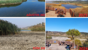 Azap gölü kurumaya başladı