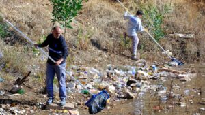 Bodrum’un tek “Tescilli Ağaç Topluluğu” bölgesini çöplüğe çevirmişler