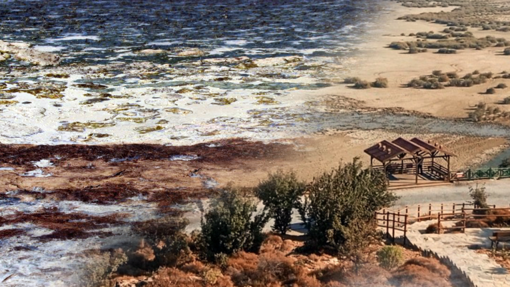 Bu görüntüler Mars’tan değil Ege’den: Bafa Gölü ölüyor