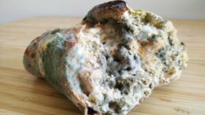 Hastaları iyileştirmenin yolunu küflü ekmekte buldular: Yalnızca bir gıda değil şifa aracı da!