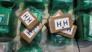 Muz kolileri ile Avrupa’ya getiriliyordu… Rekor miktarda kokain yakalandı