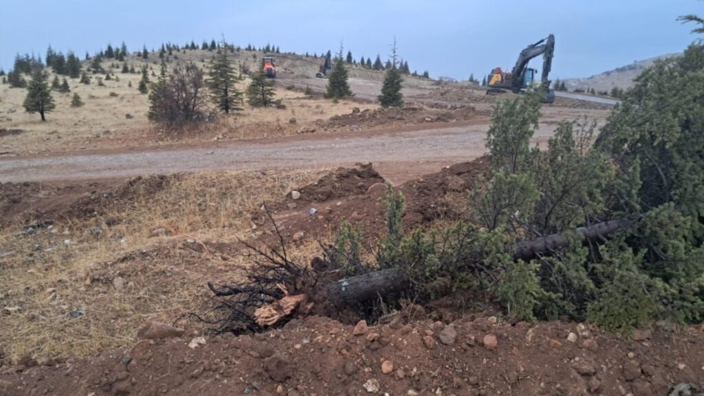 Onlarca ağaç kesilmişti… Valilik, ağaç kesen firmayı savundu