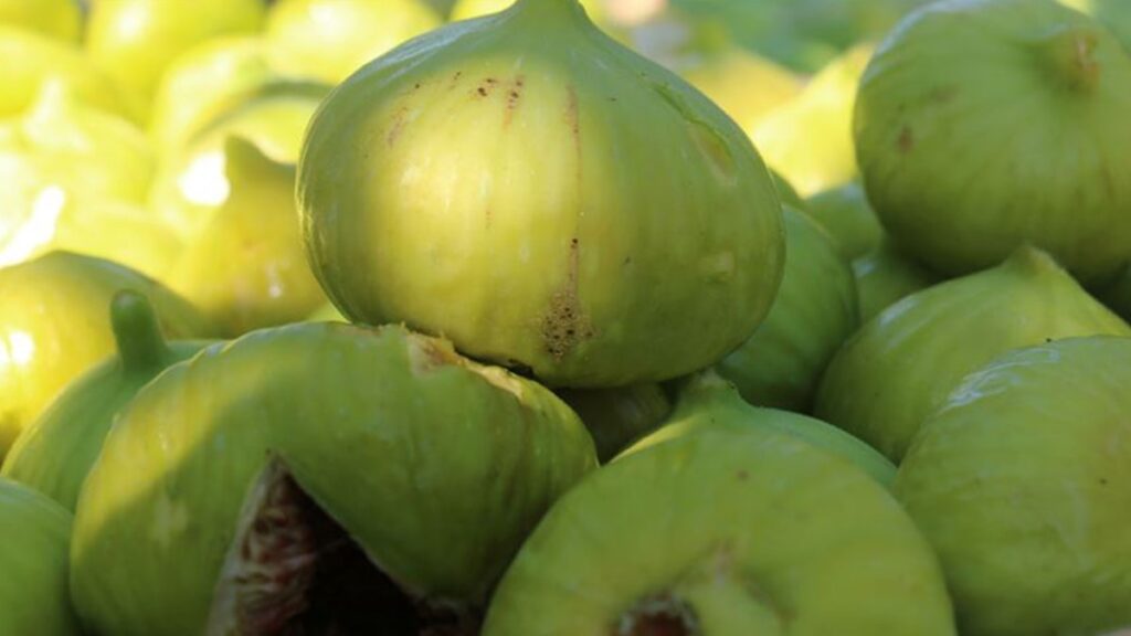 1 günde 3 ret! Aflotoksin içeren incir ve narlar gümrüğe takıldı