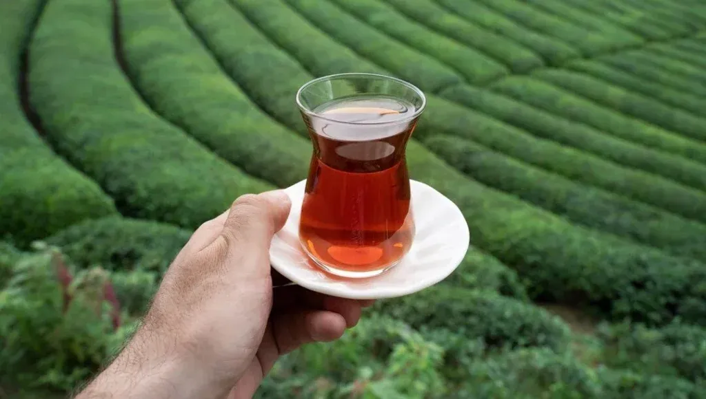 7 çay markasında skandal! Gıda boyası saptandı