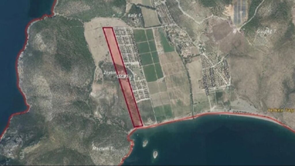 Karaburun’un 181 milyonluk zeytinliği için açık artırma