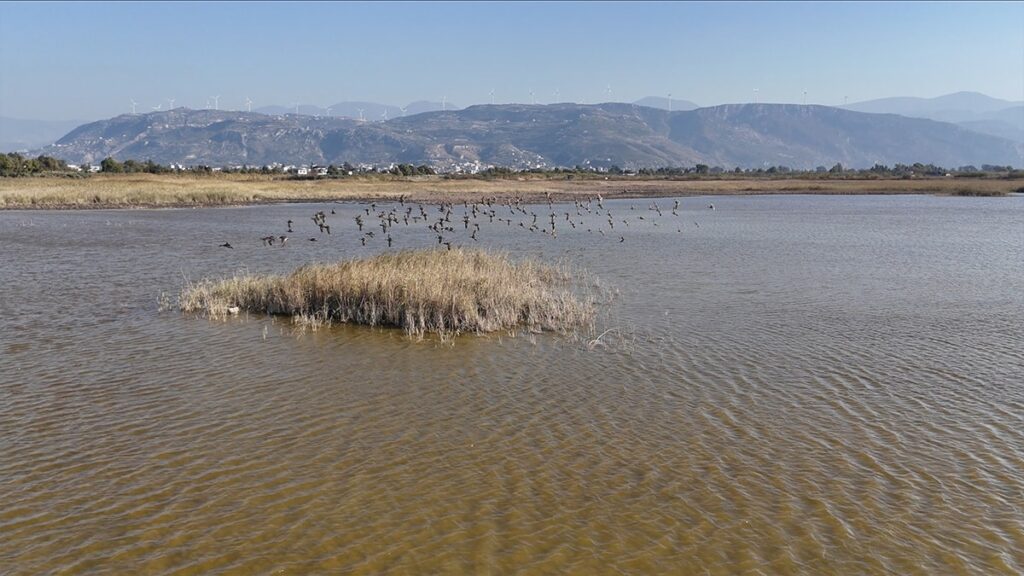 Kuruyan kuş cennetinden sevindiren haber