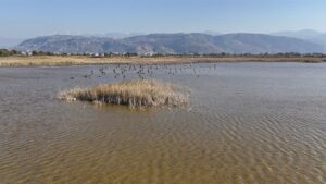 Kuruyan kuş cennetinden sevindiren haber