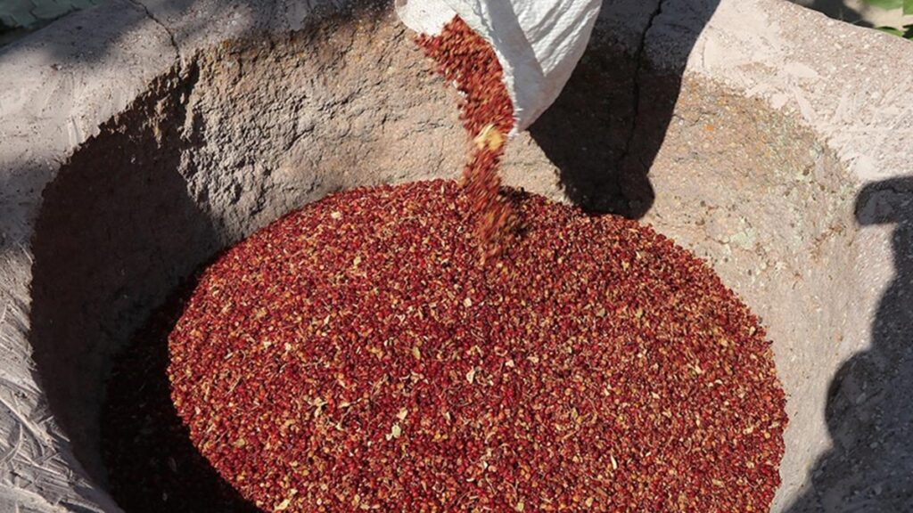 Taklit ve tağşiş listesinde yer aldı: Ünlü baharat markasının baharatında boya çıktı