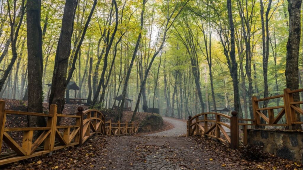 ‘Belgrad’ seferberliği