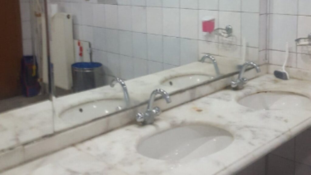 Lüks arabayı anladık da lüks tuvalet neyin nesi?