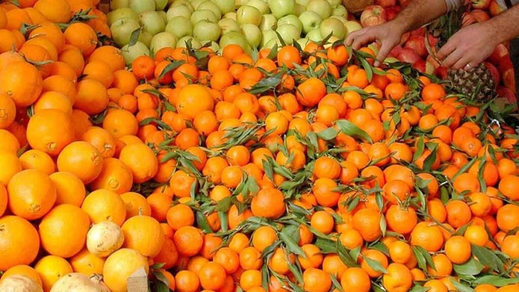 Mandalina mı portakal mı, sağlığınız için hangisi daha faydalı?