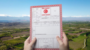 Miras yoluyla tapu sahibi olanlar dikkat! 90 gün içinde başvurmayan hakkını kaybedecek