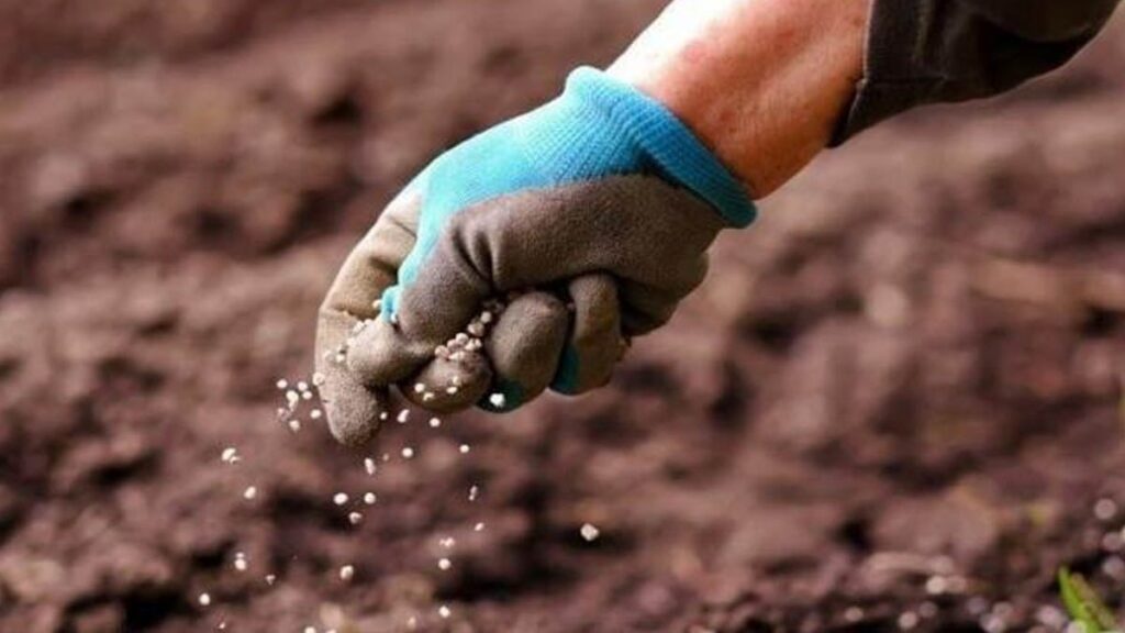 Tarladan sofraya sağlığımız risk altında