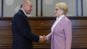 Tolga Akalın’dan Meral Akşener’e ‘çakma sarışın’ göndermesi